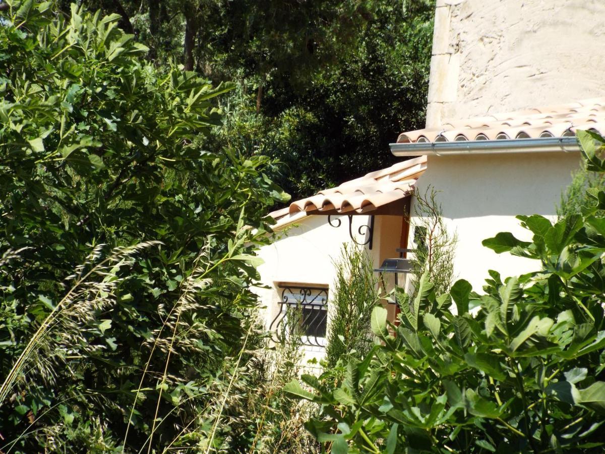 Gite De Leonie Moulin De Tartay En Avignon Eksteriør bilde